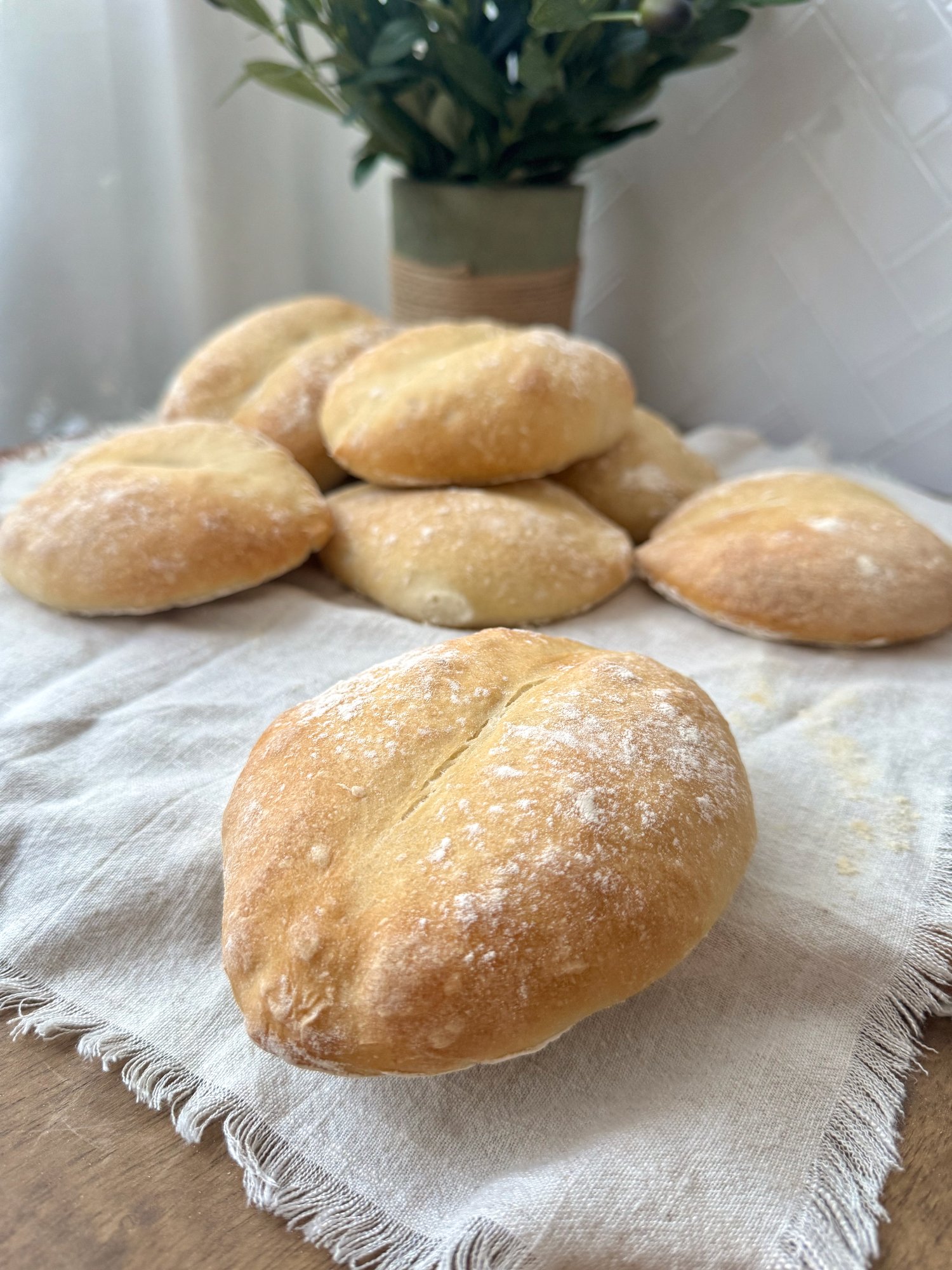 Warm, golden Portuguese bread rolls (papo secos) with a tender crumb.