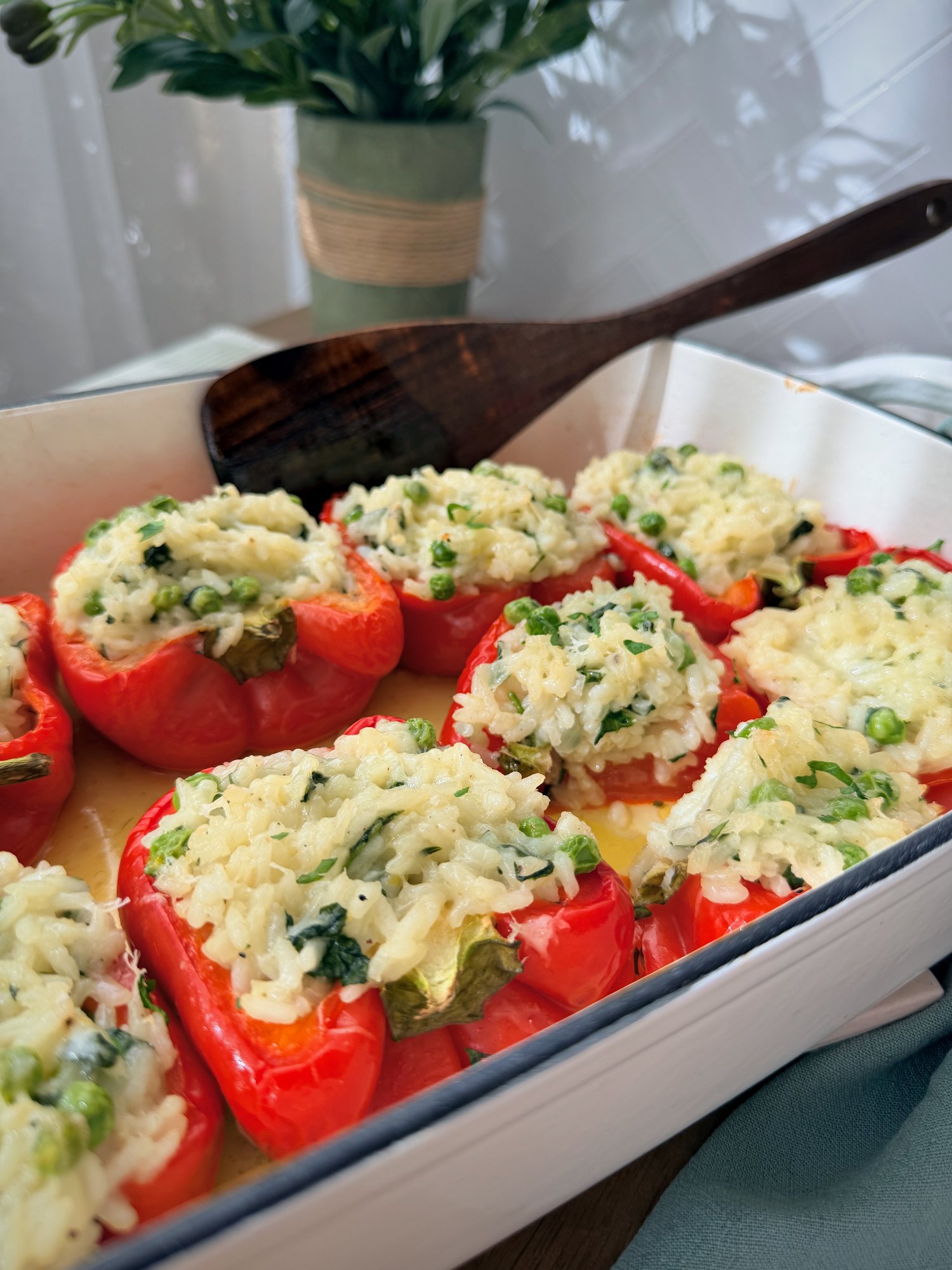 Roasted red capsicums stuffed with lemon, spinach and pea risotto, topped with melted parmesan.
